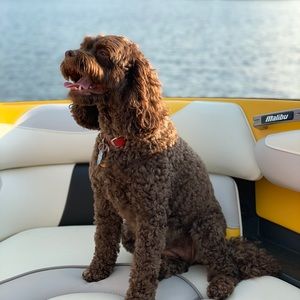 Meet your Posher, Nicolas